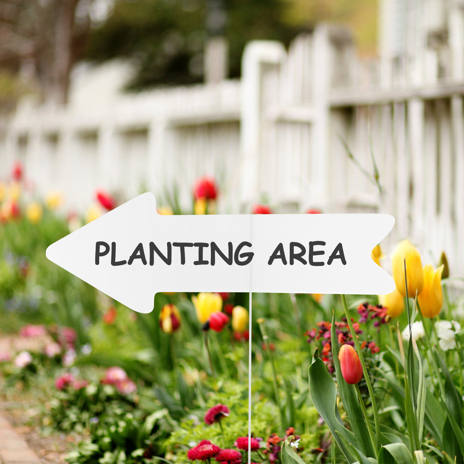 5Pcs Plastic Blank Yard Sign B - Yard Sign Blank ulasan dan harga